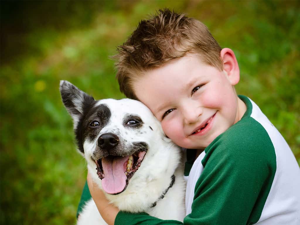 Angels Among Us Pet Rescue hero image